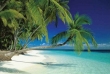 Maldives Beach Maldives Beach