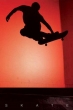 Skate (Silhouette)