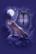 Wolf Spirit (James Ryman)
