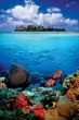 Sea Life