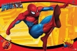 Spider-man (Kick)
