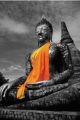 Buddha (Orange)