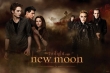 Twilight - New Moon (Threesome & Volturi)