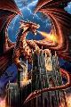 Anne Stokes (Dragon Fury)