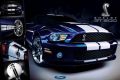 Ford (Shelby Gt500)