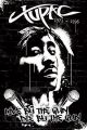 Tupac (Wall) Tupac (Wall)
