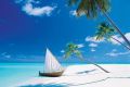 Paradise Found Paradise Found