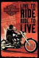 Harley Davidson (Live To Ride)