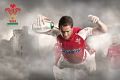 Wales Rugby Union (Williams) - plakat
