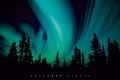 Northern Lights - plakat