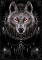 Spiral (Wolf Dreams) - plakat Spiral (Wolf Dreams) - plakat