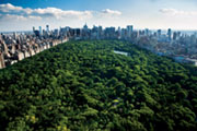 Nowy Jork - Central Park - plakat
