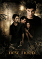 Twilight - New Moon