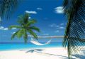 Maldives Island Hammock Plakat 3D