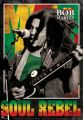 Bob Marley (Soul Rebel) Plakat 3D Bob Marley (Soul Rebel) Plakat 3D