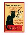 Chat Noir
