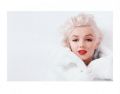 Marilyn Monroe (White) Marilyn Monroe (White)