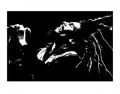 Bob Marley (B&W) Bob Marley (B&W)