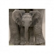 Big Ears (Baby Elephant)
