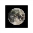 The Moon