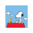 Peanuts (Snoopy & Woodstock)