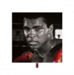 Muhammad Ali (Boxing Gloves)