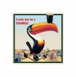 Guinness (Toucan)