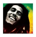 Bob Marley (Paint)