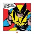Wolverine (I'm The Best)
