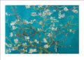 Van Gogh (Almond Blossom) - reprodukcja Van Gogh (Almond Blossom) - reprodukcja