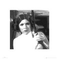 STAR WARS leia