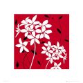KATE KNIGHT red