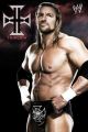 WWE triple h