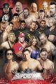 WWE superstars 2011
