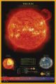 THE SUN