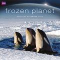 BBC EARTH- FROZEN PLANET - kalendarz 2012 r.