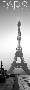 Paris eiffel tower