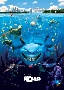 Finding Nemo