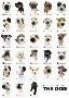 Dogs - collecton