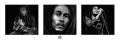 Bob Marley - trio