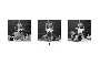 Muhammad Ali (Liston Triptych)