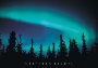 Northern Lights