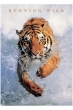 Running Wild