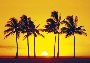Hawaiian Sunset