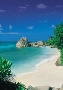 Paradise Cove