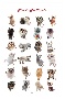 Classic cats