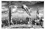 New York Dive