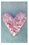 Love Heart