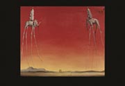 Swans - Dali