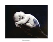 Anne Geddes - hand Anne Geddes - hand